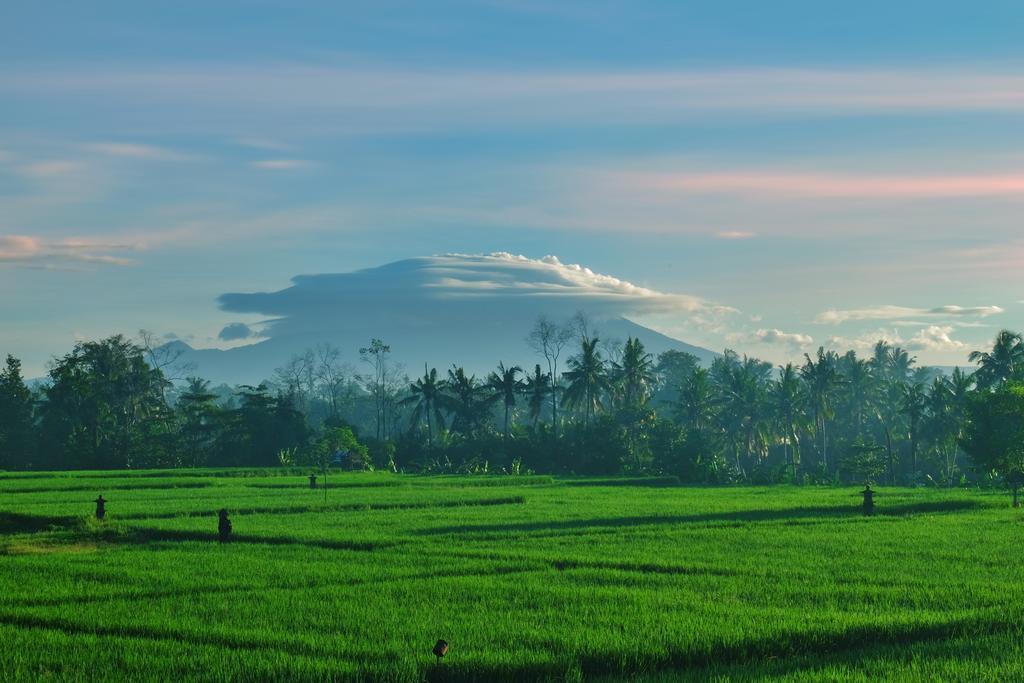 Putra Guest House Ubud Exteriér fotografie